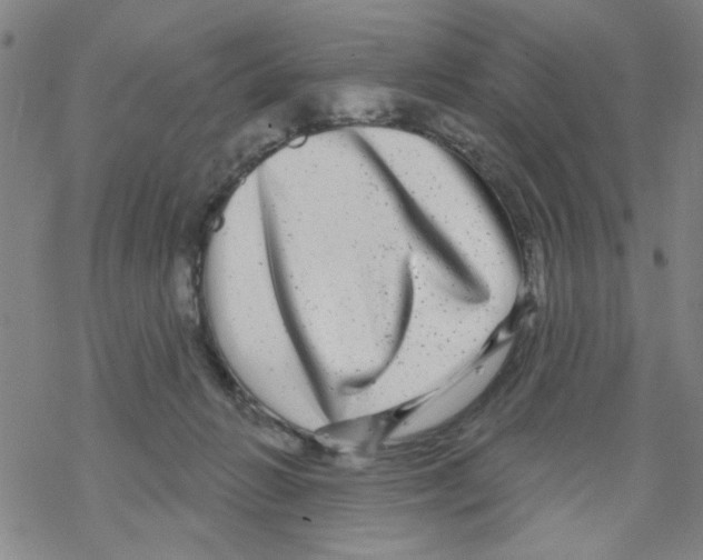 X0000067920270200605112016