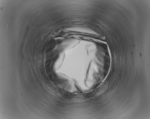 X0000067920271200605112016