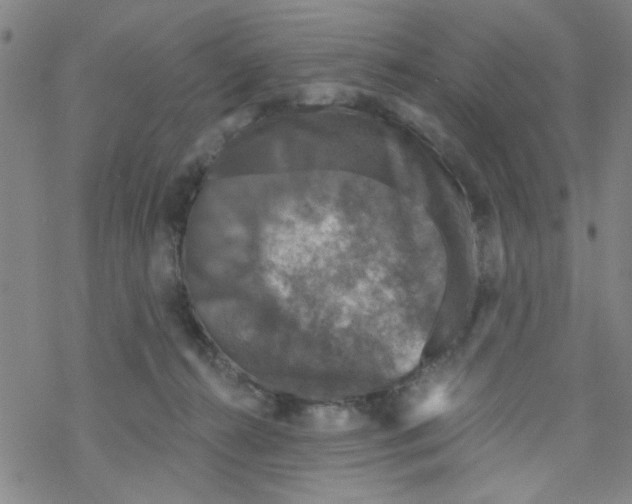 X0000067920272200605112016