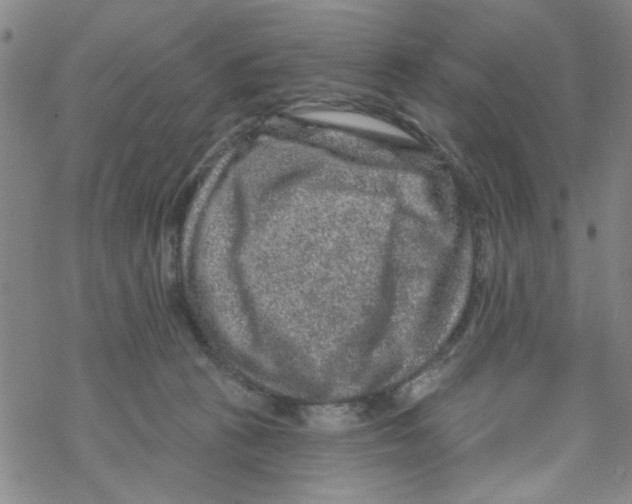 X0000067920273200605112016