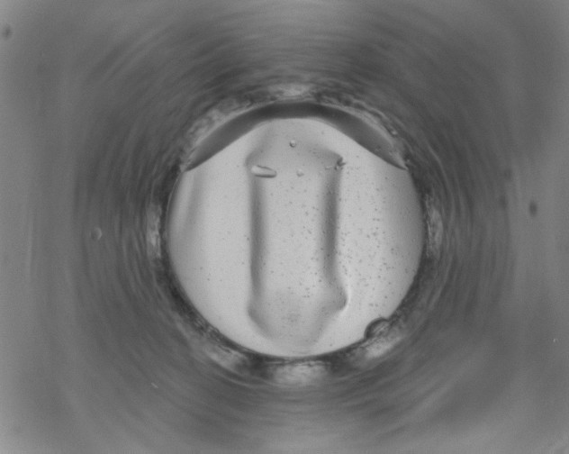 X0000067920274200605112016