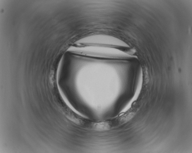 X0000067920275200605112016