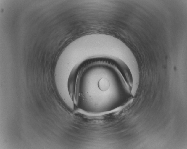 X0000067920276200605112016