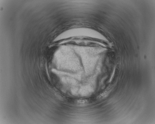 X0000067920277200605112016