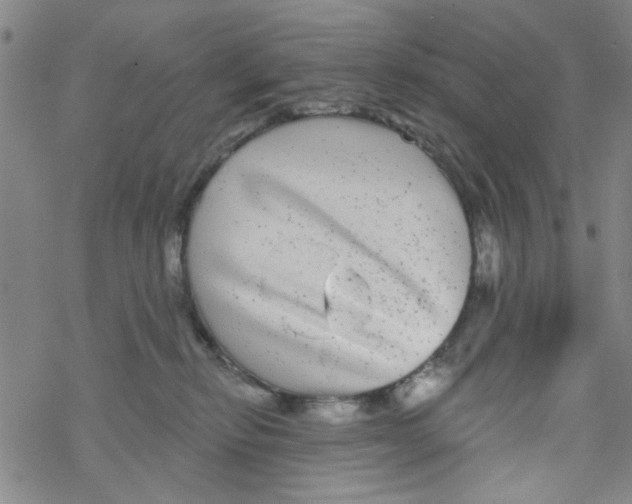 X0000067920278200605112016