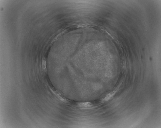 X0000067920281200605112016