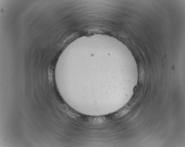 X0000067920282200605112016