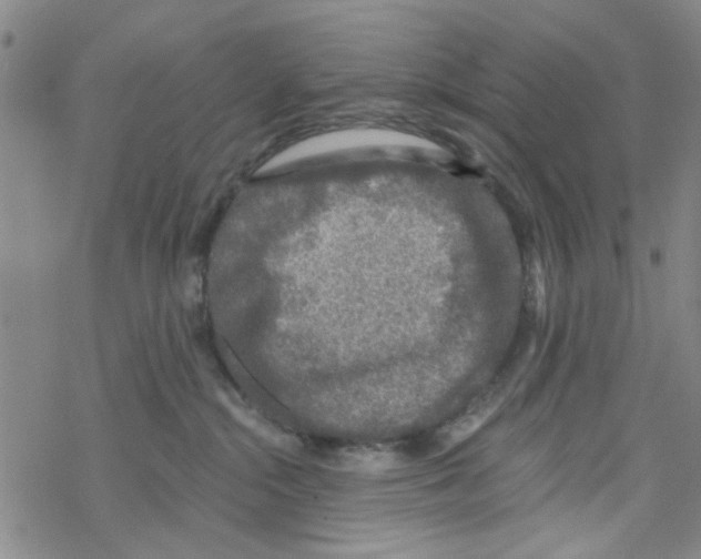 X0000067920284200605112016