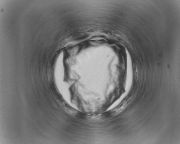 X0000067920285200605112016