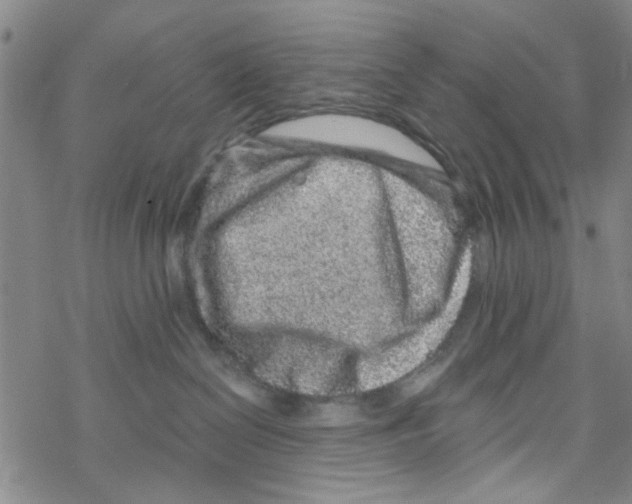 X0000067920286200605112016