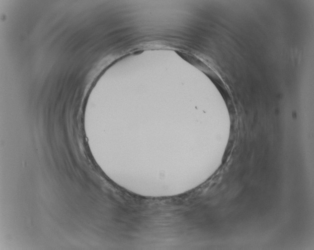 X0000067920289200605112015