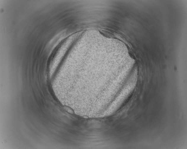 X0000067920290200605112015