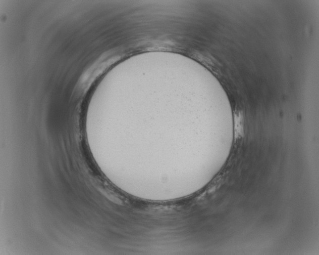 X0000067920291200605112015