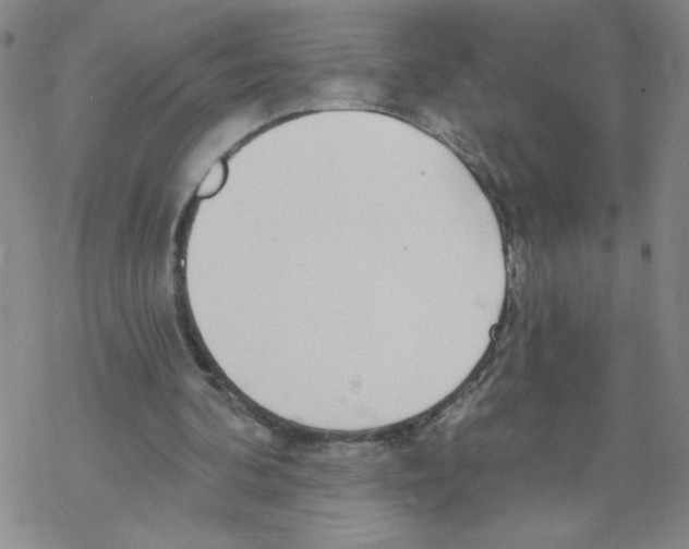 X0000067920292200605112015