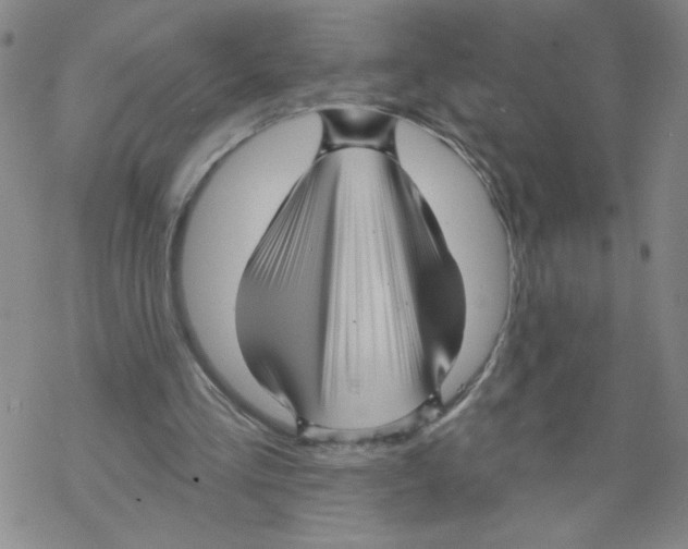 X0000067920293200605112015