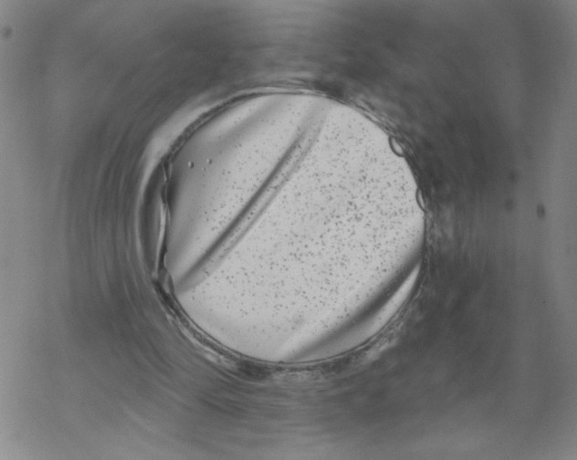 X0000067920294200605112015