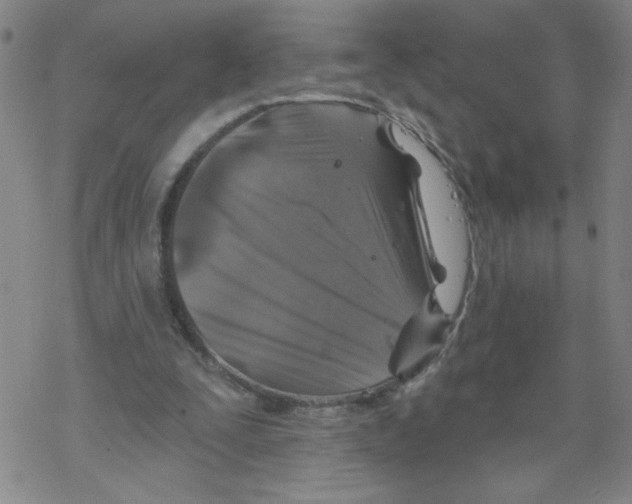 X0000067920295200605112015