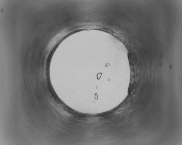 X0000067920296200605112015