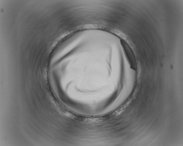 X0000067920297200605112015