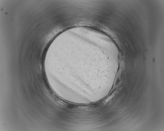 X0000067920298200605112015