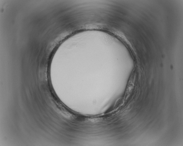 X0000067920299200605112015