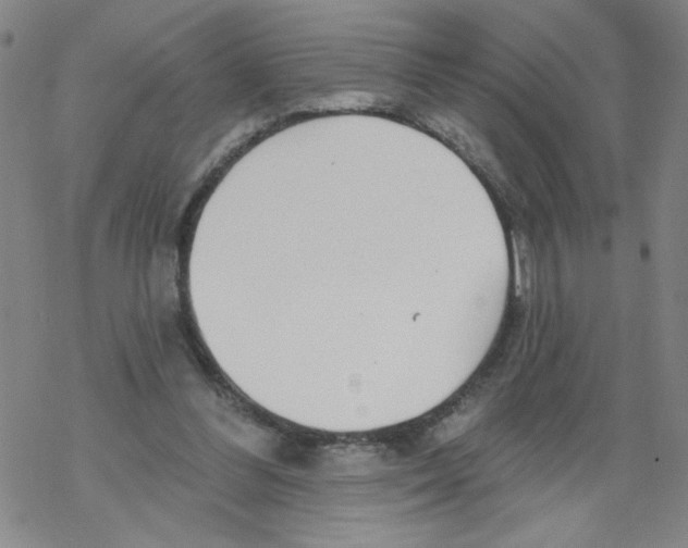 X0000067920300200605112015