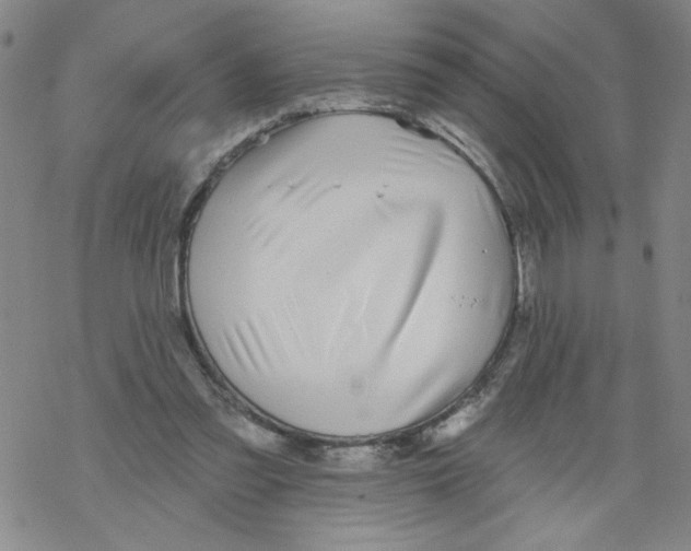 X0000067920301200605112015