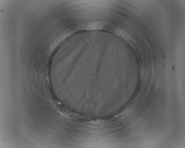 X0000067920303200605112015