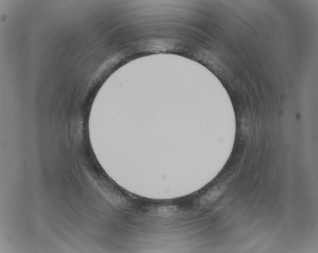 X0000067920304200605112015