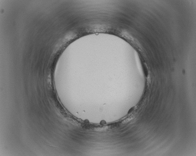 X0000067920306200605112015