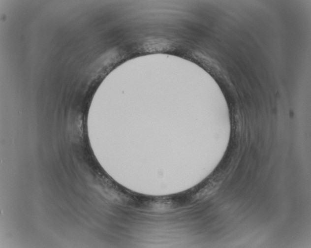 X0000067920308200605112015