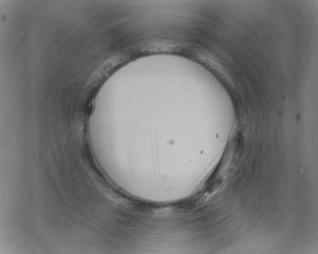 X0000067920309200605112015