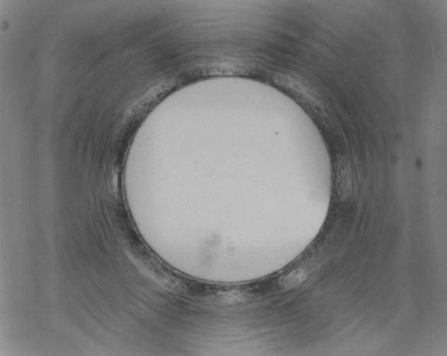 X0000067920310200605112015