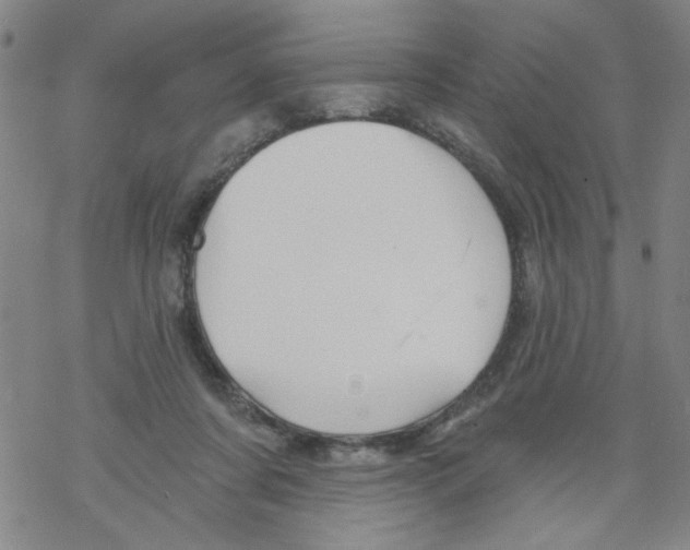 X0000067920311200605112015