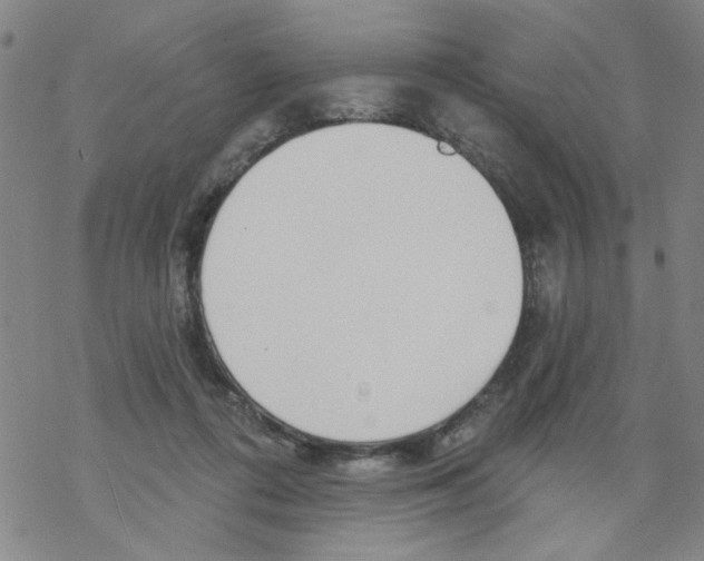 X0000067920312200605112015