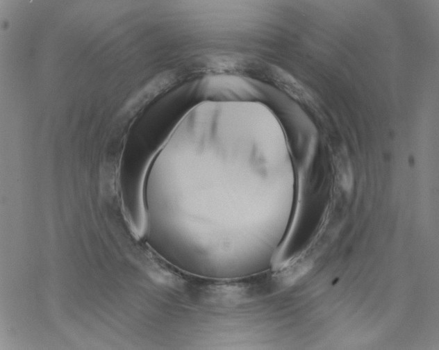 X0000067920313200605112015