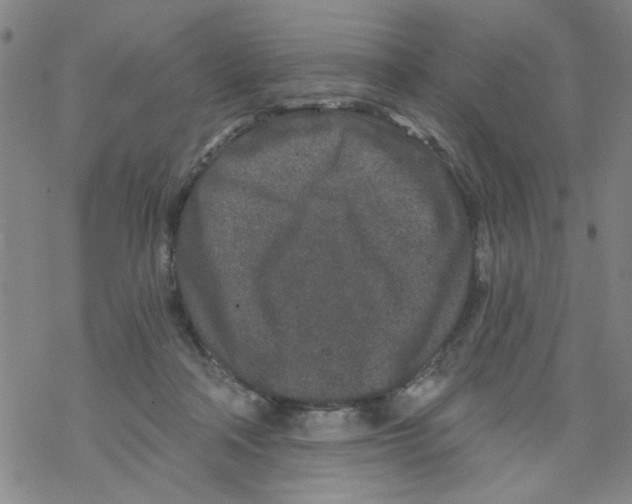 X0000067920314200605112015