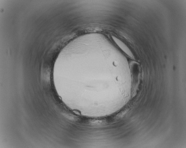 X0000067920315200605112015