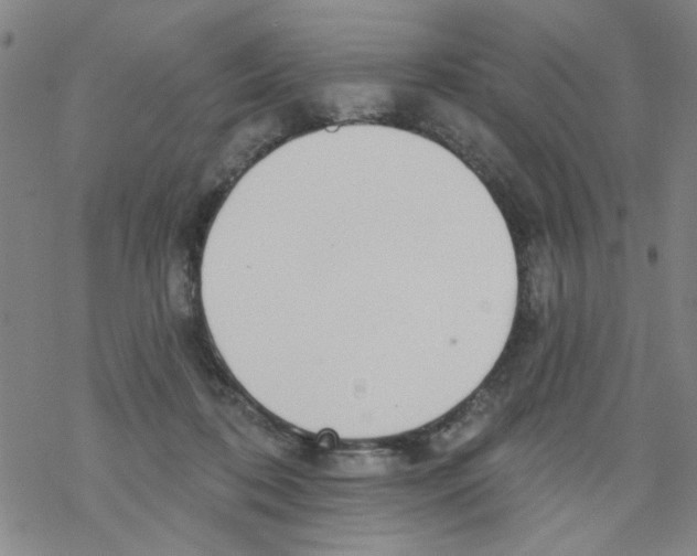 X0000067920316200605112015