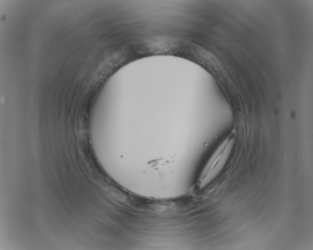 X0000067920317200605112015