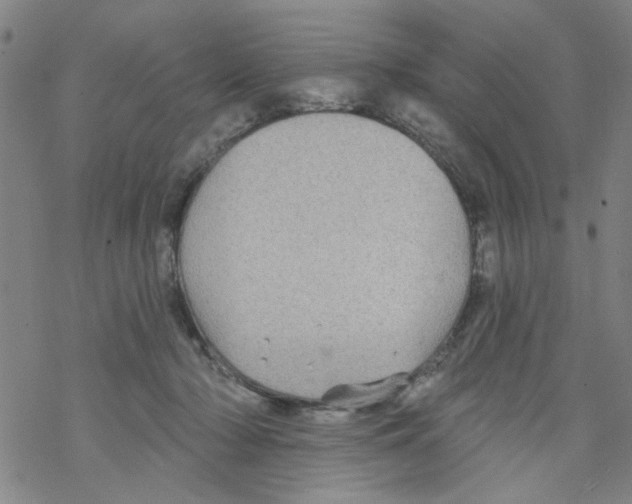 X0000067920318200605112015