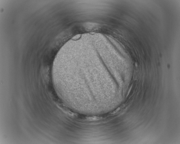 X0000067920319200605112015