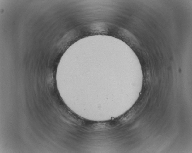 X0000067920320200605112015