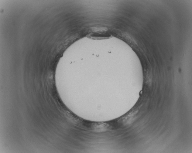 X0000067920321200605112015