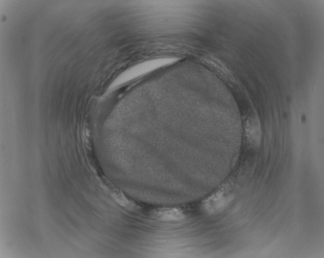 X0000067920322200605112015