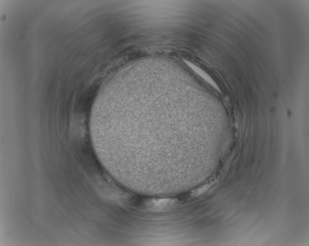 X0000067920323200605112015