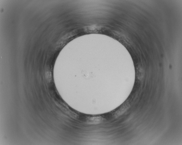 X0000067920324200605112015