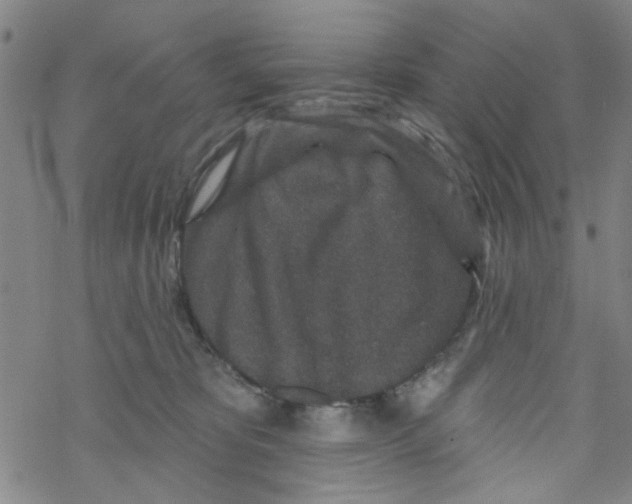 X0000067920325200605112015