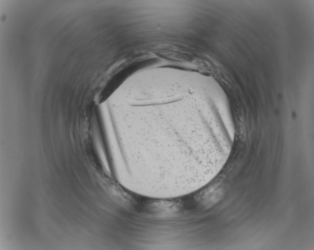 X0000067920326200605112015