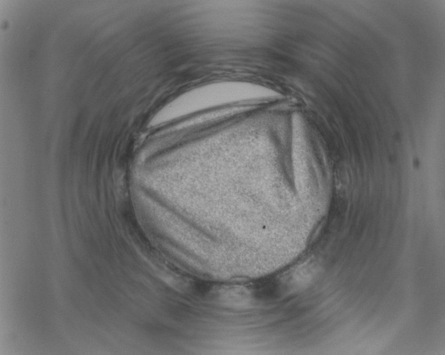 X0000067920327200605112015